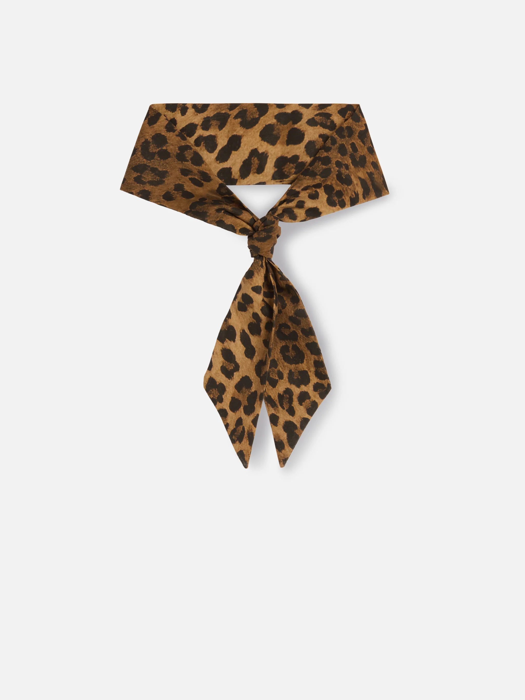 Band scarf in cotton with animalier leopard print - Image 2