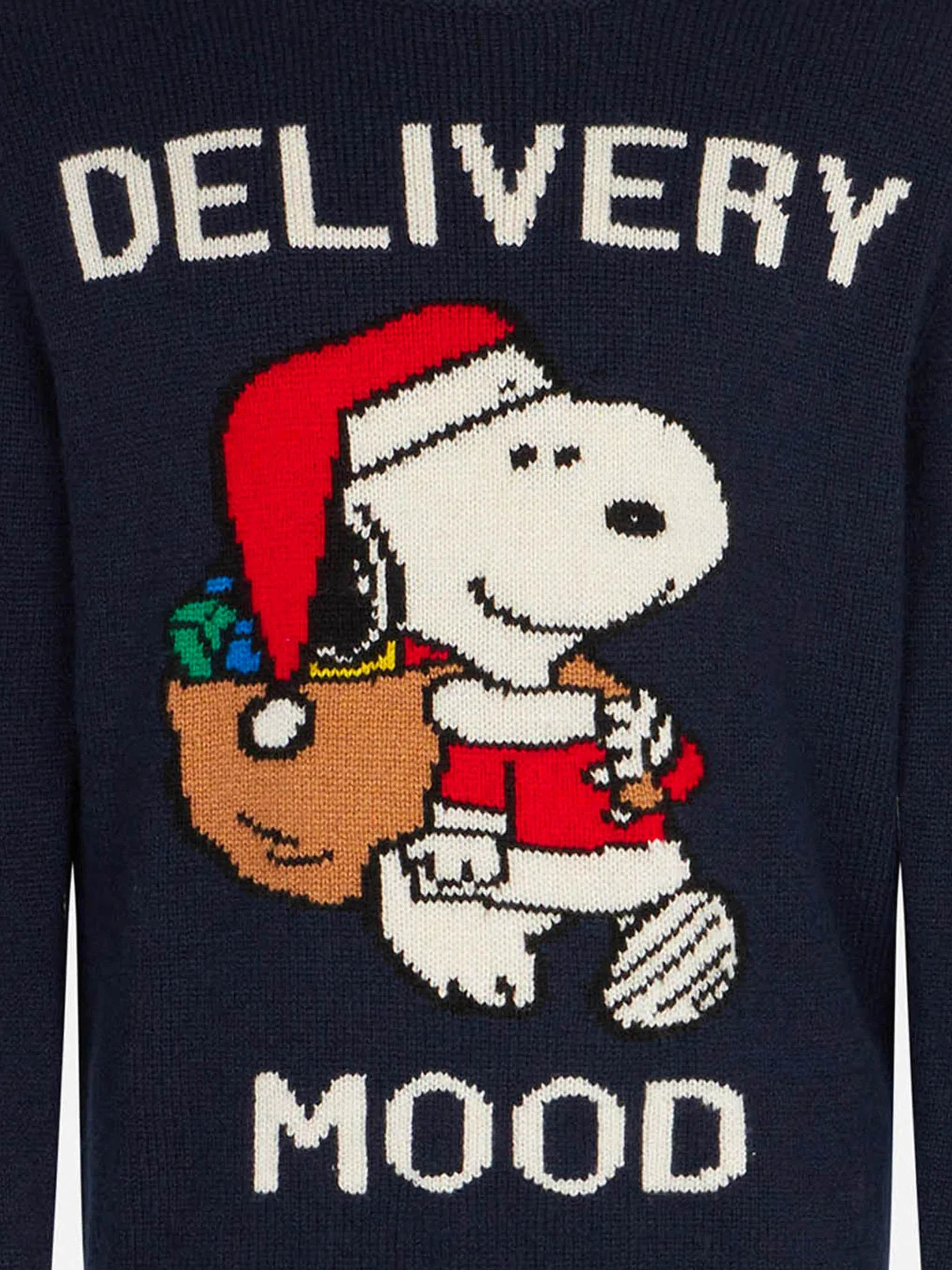 Boy crewneck sweater with Christmas Snoopy print | PEANUTS™ SPECIAL EDITION - Image 3