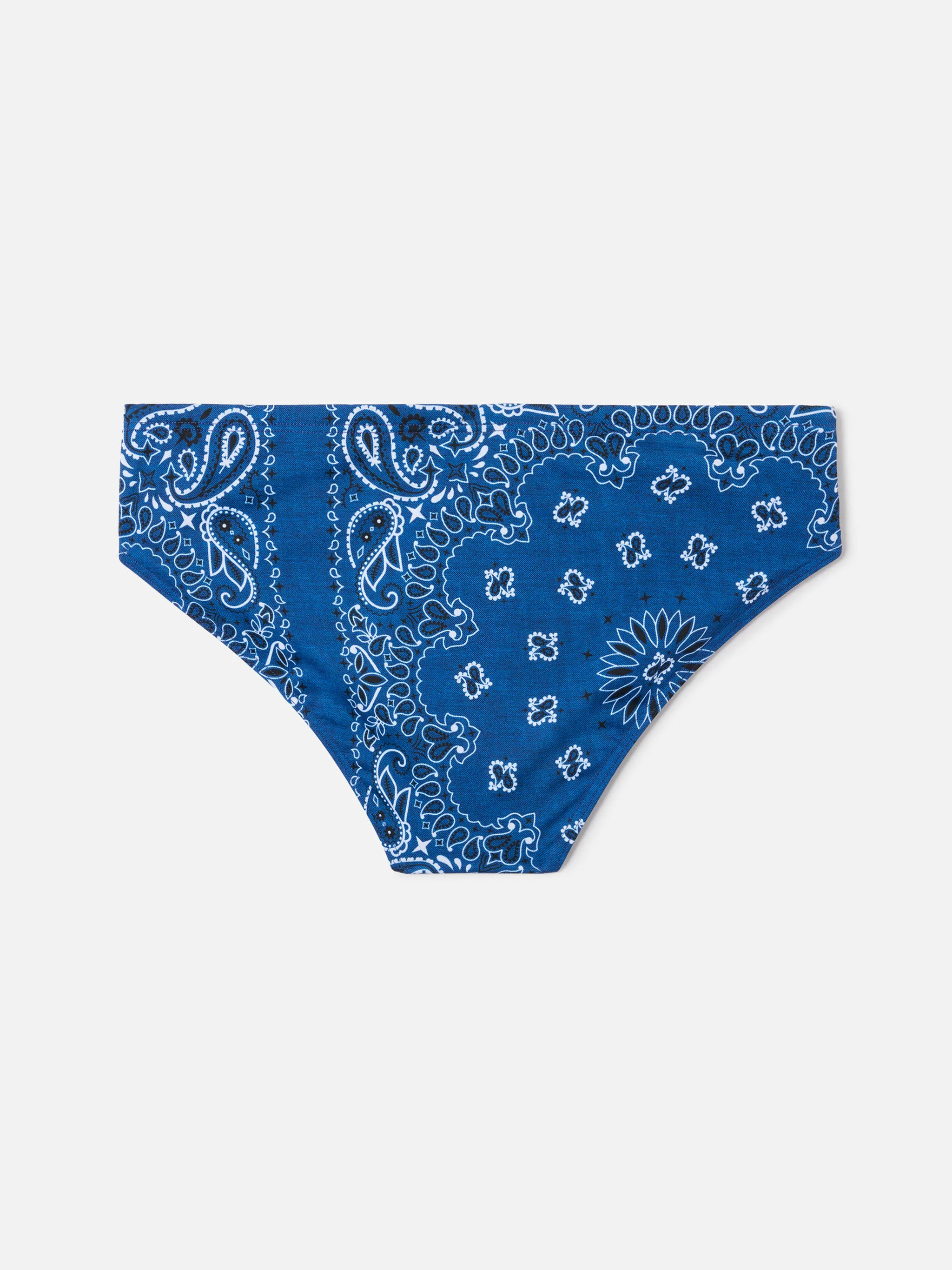 Cayo navy bandanna print swim briefs - Image 2