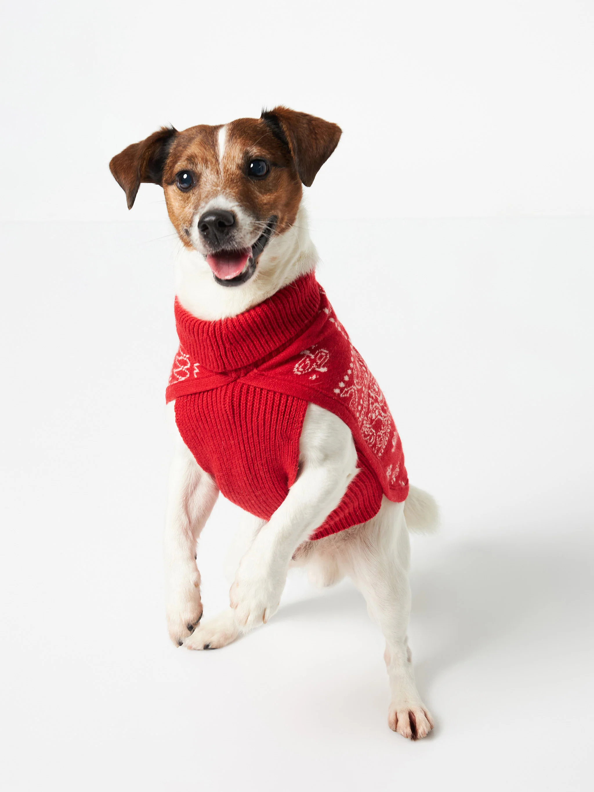 Dog sweater with bandanna jacquard - Image 2