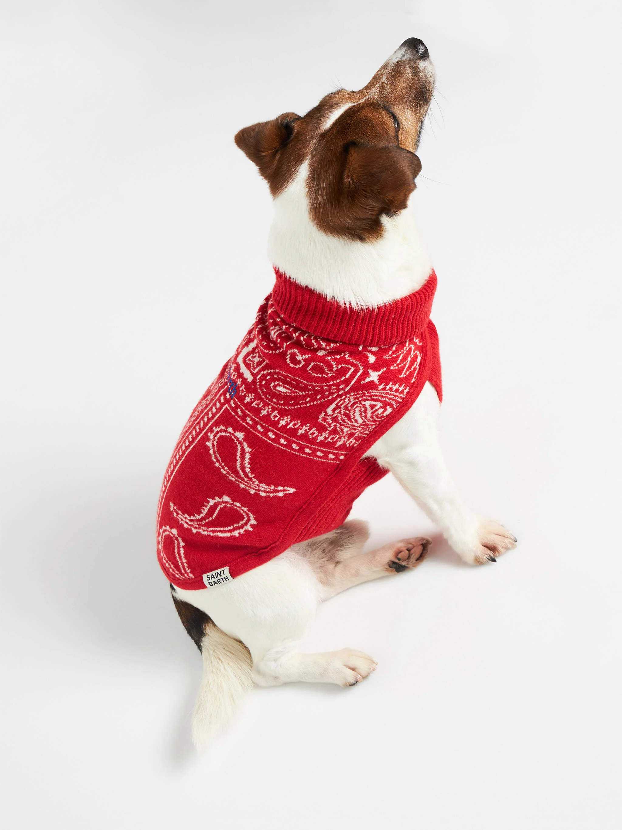 Dog sweater with bandanna jacquard - Image 3