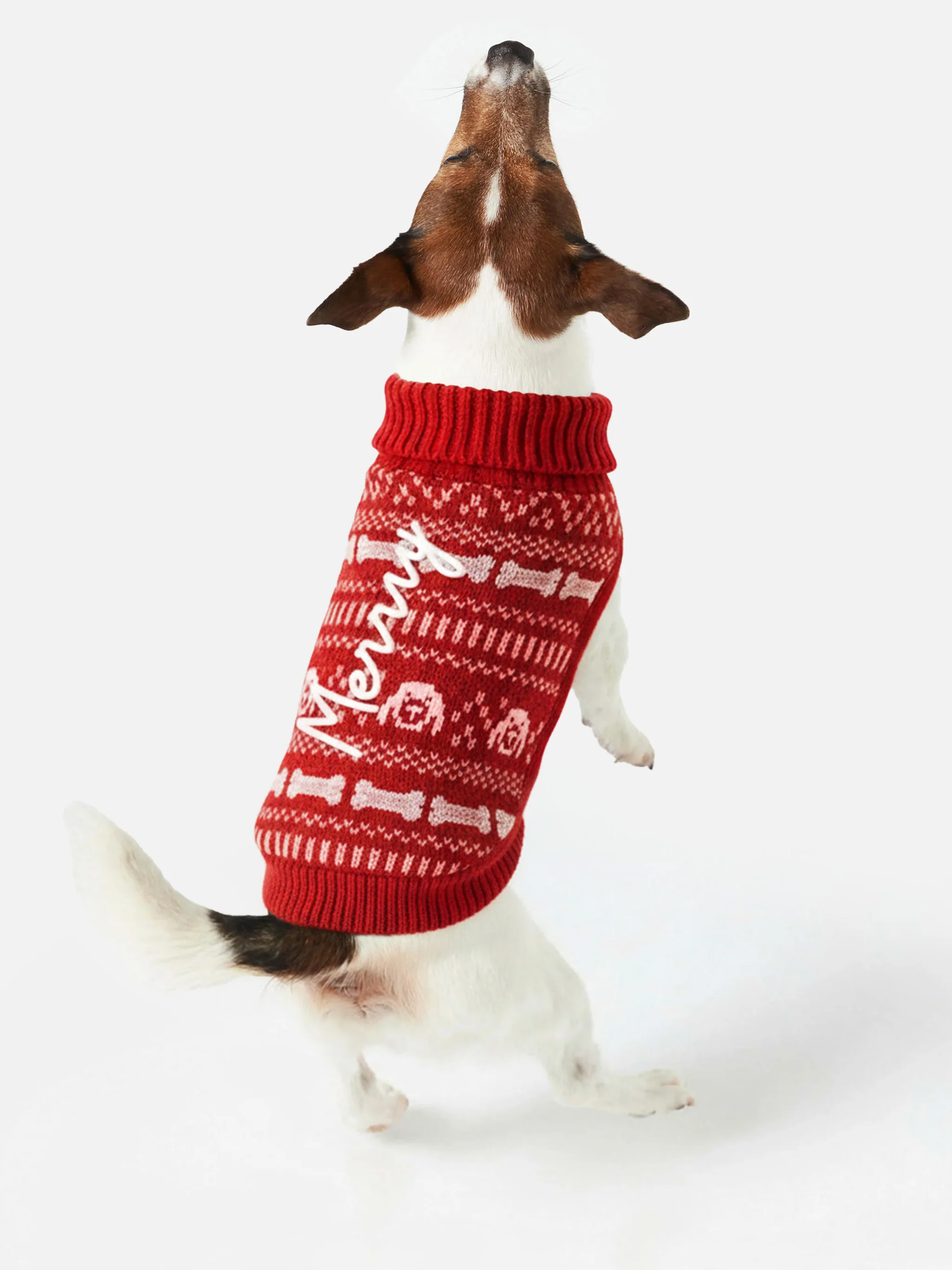 Dog sweater with Merry embroidery - Image 2