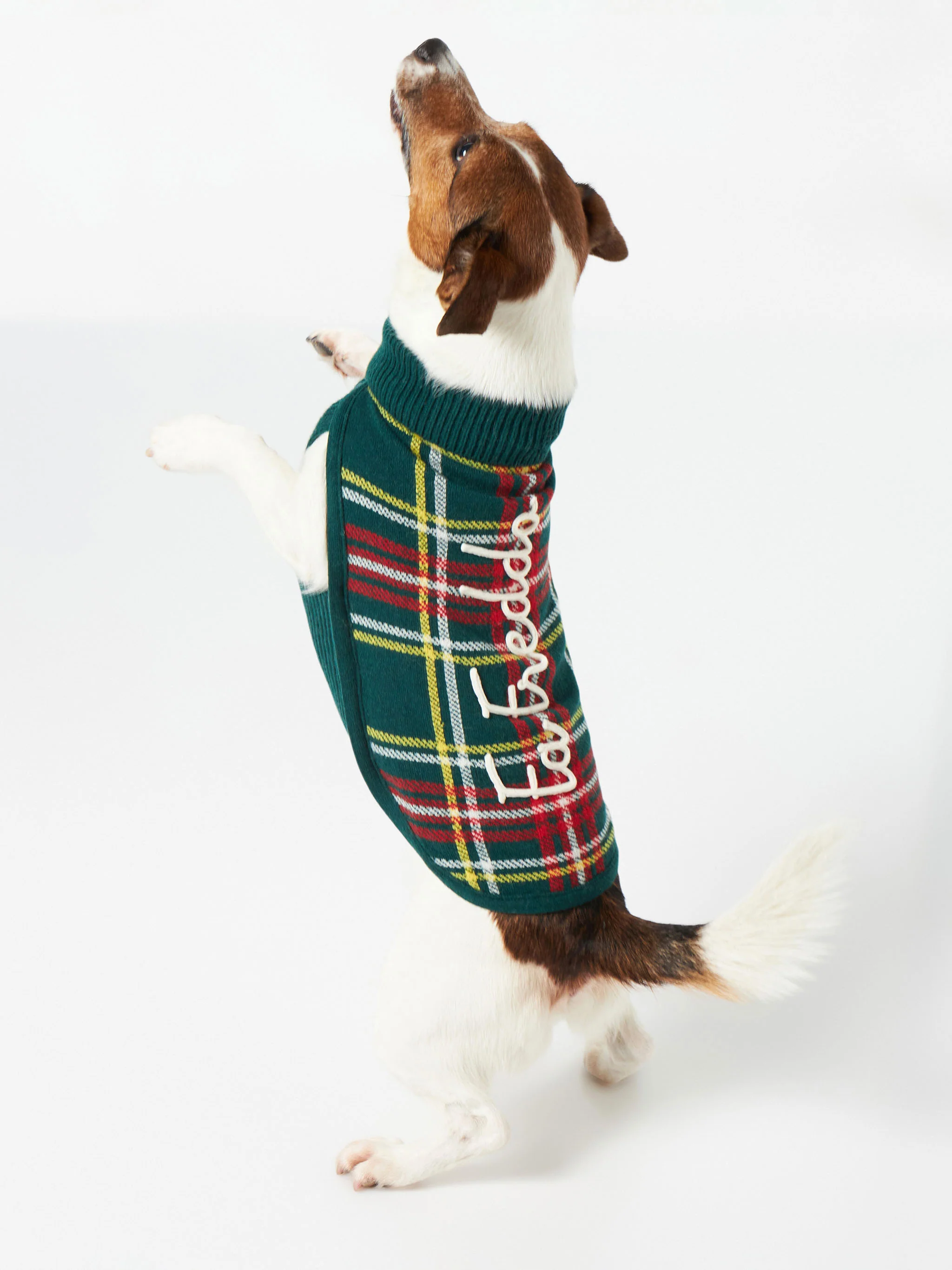 Dog sweater with tartan jacquard - Image 3