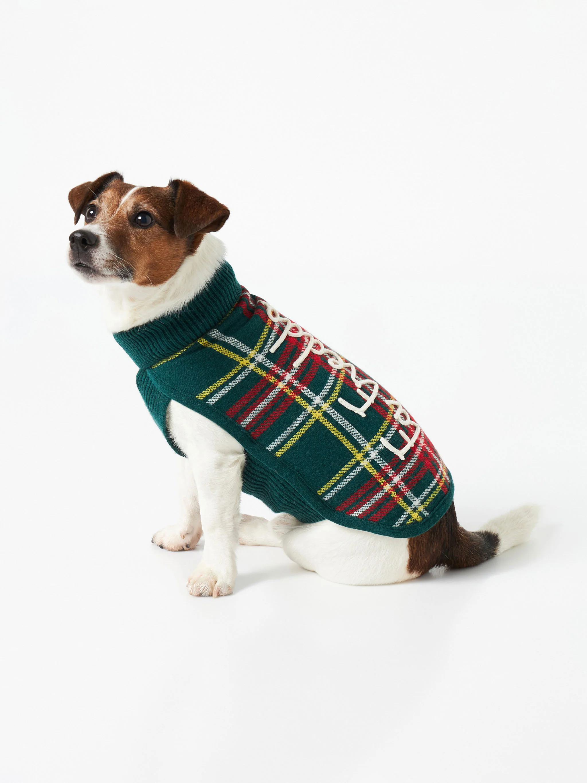 Dog sweater with tartan jacquard - Image 4
