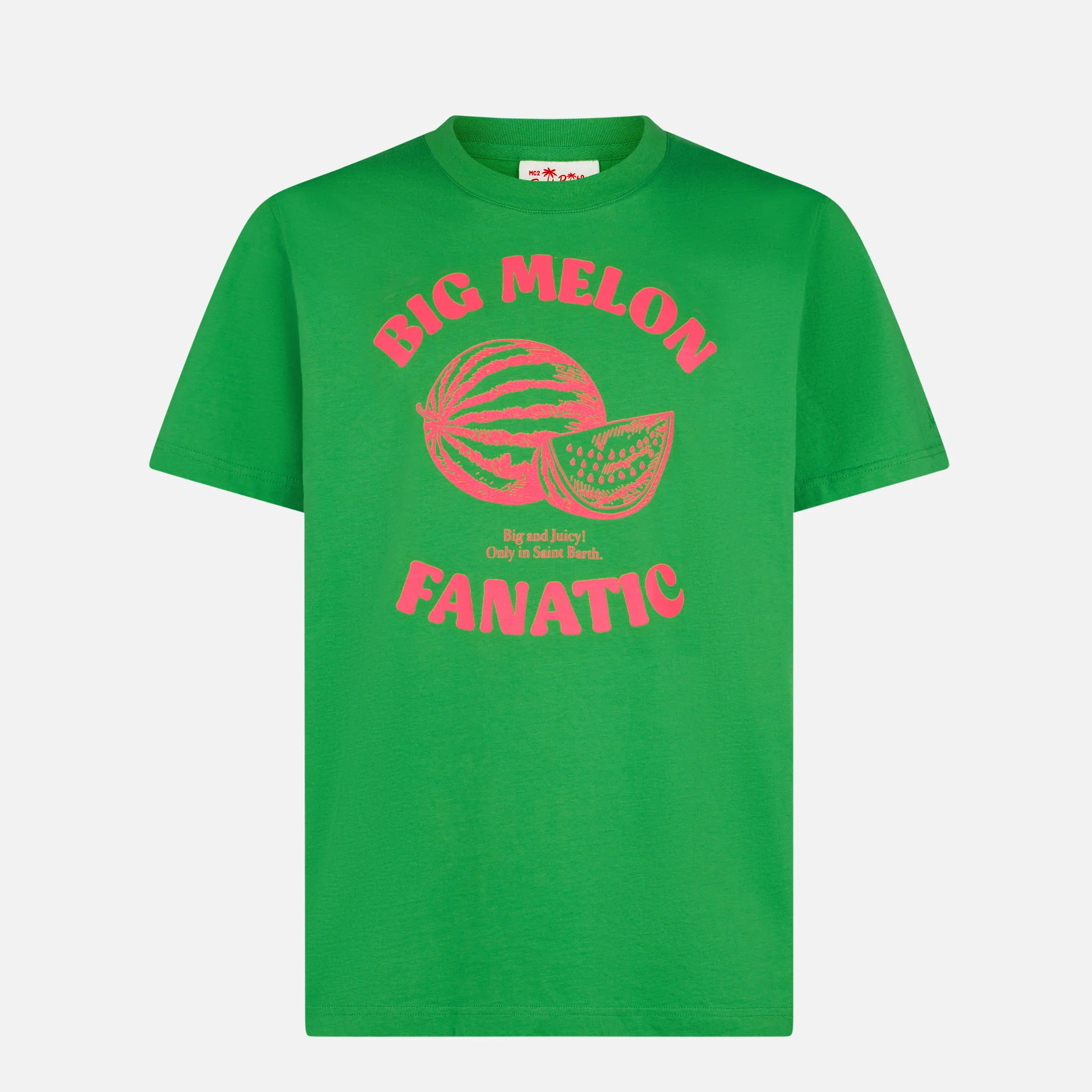 Watermelon fanatic t-shirt