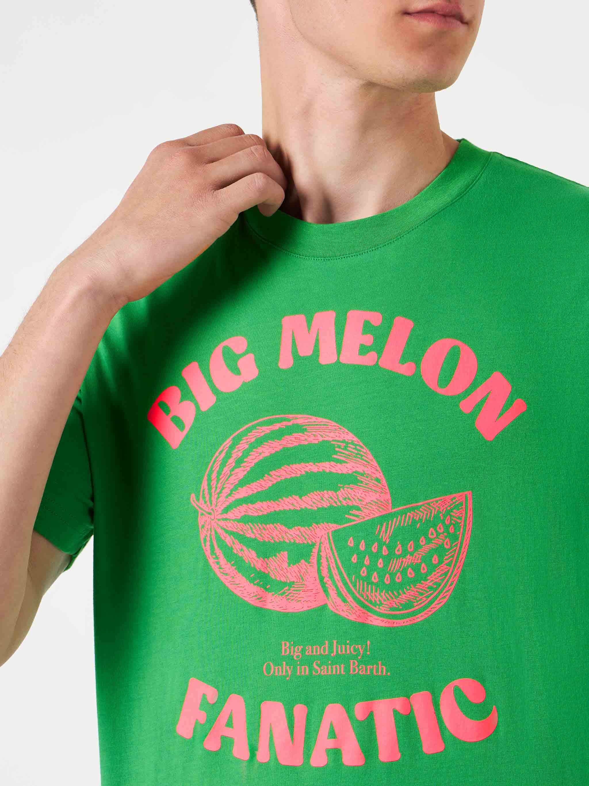 Watermelon fanatic t-shirt - Image 3
