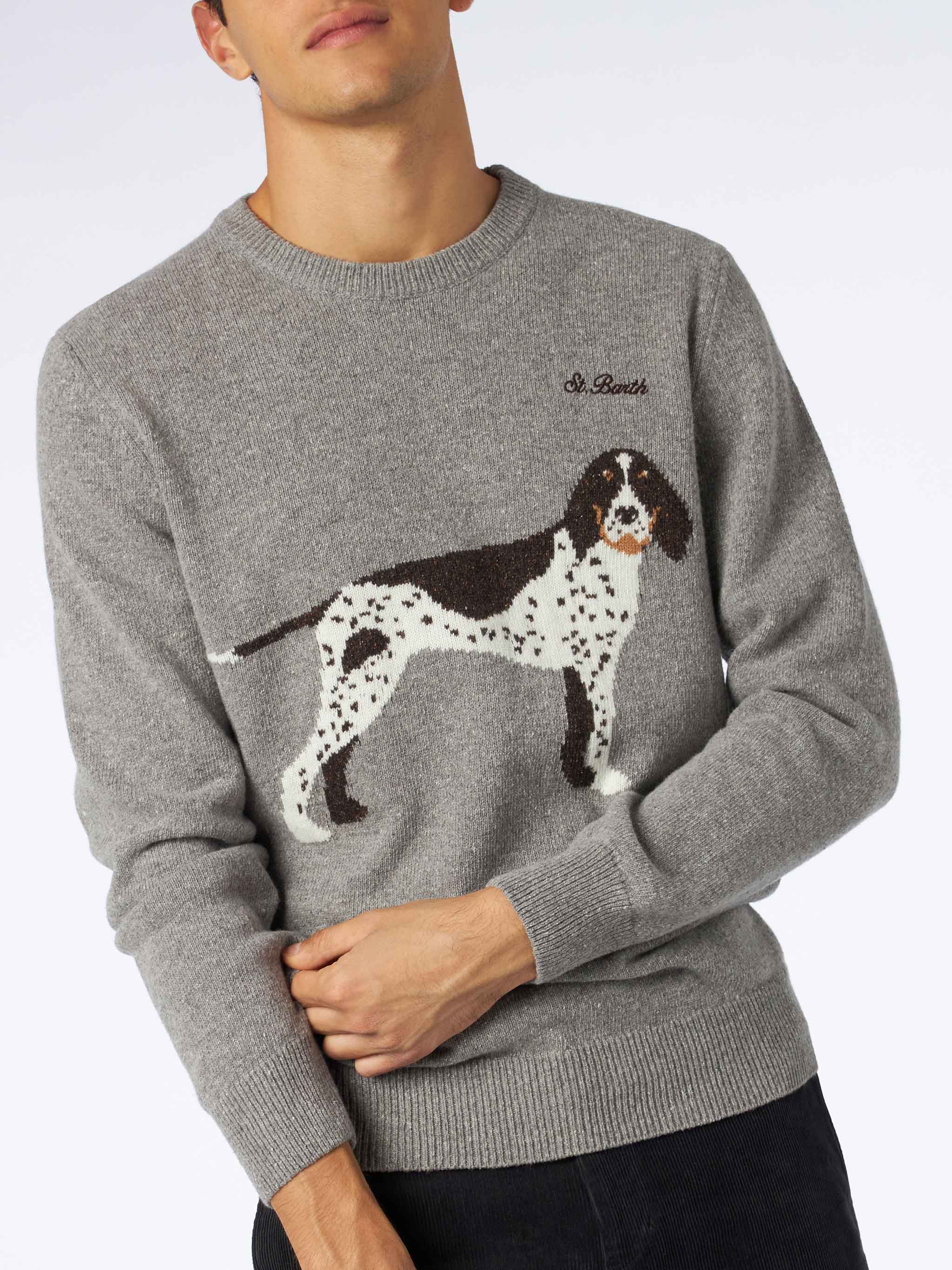 Heron grey donegal dog sweater - Image 2
