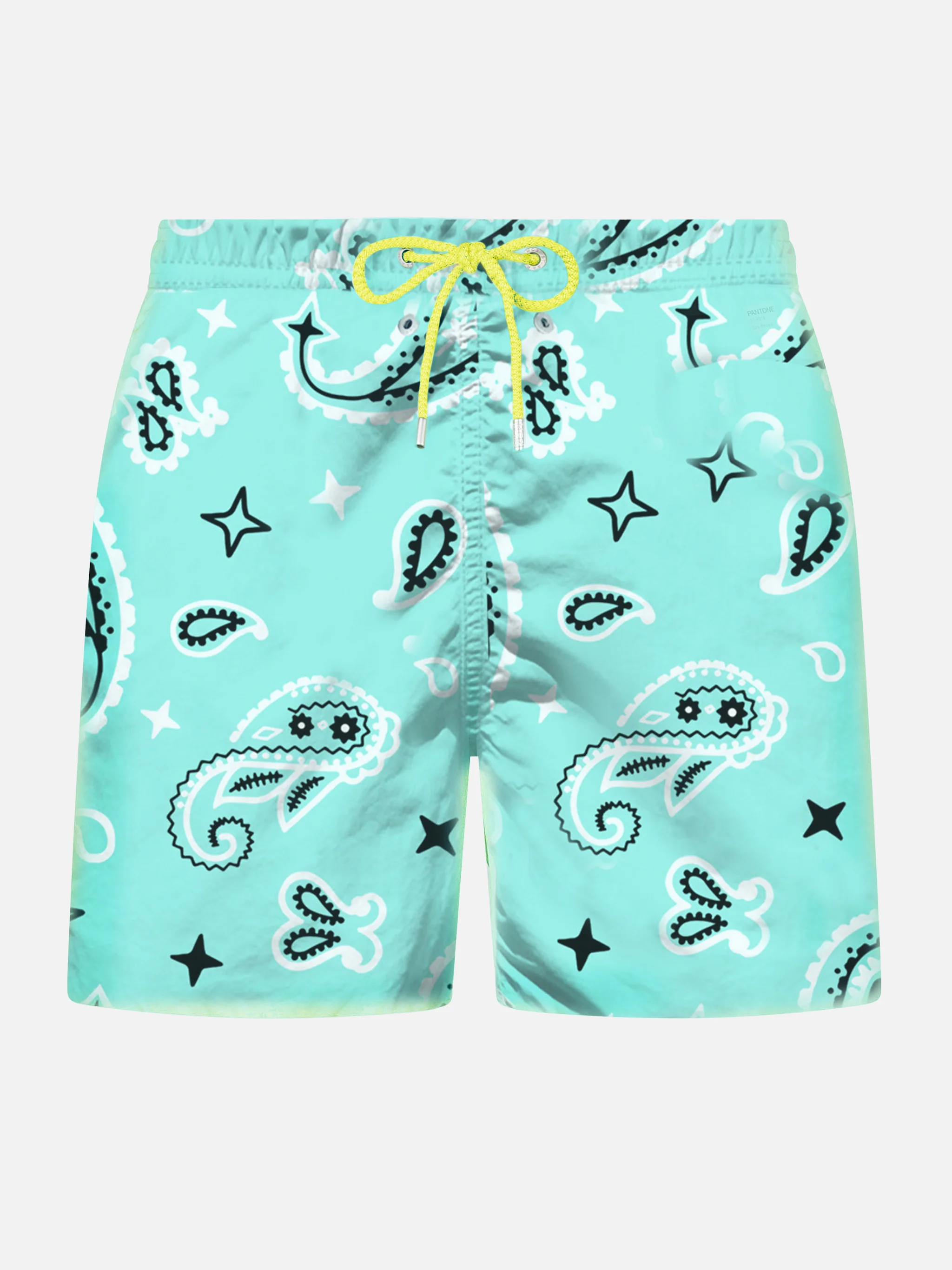 Lighting water green paisley swim shorts