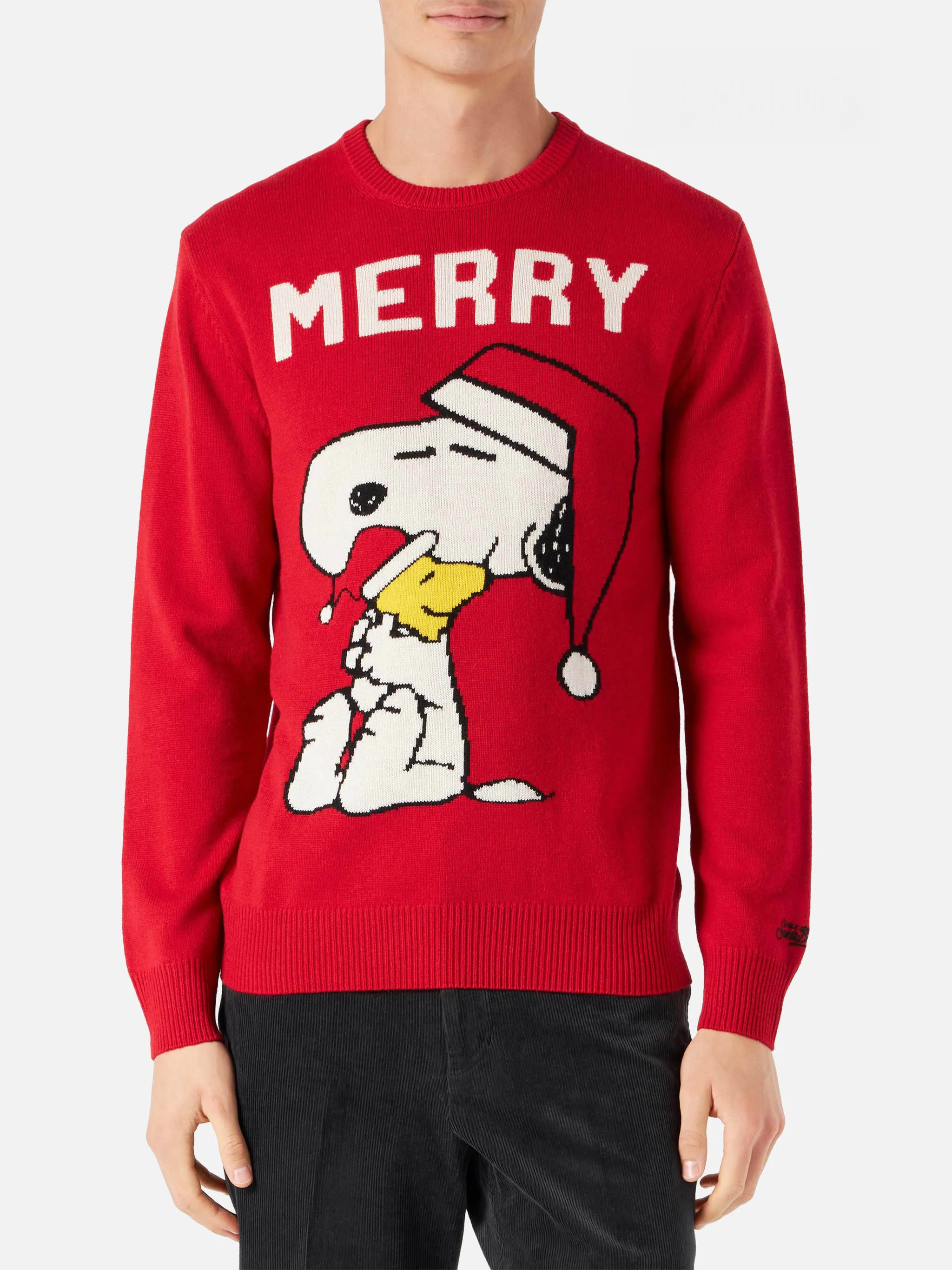 Heron Snoopy Merry sweater | Special Edition