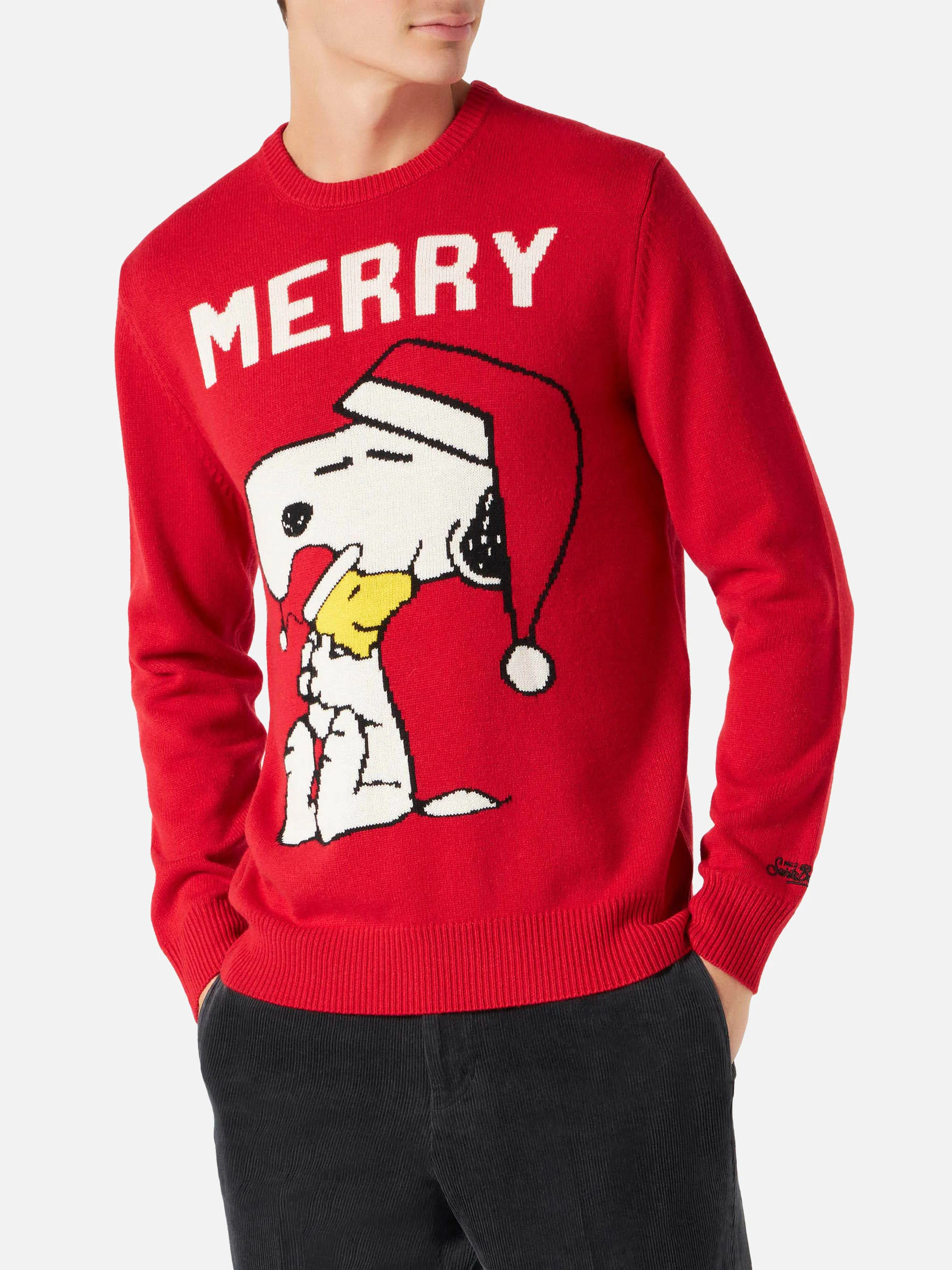 Heron Snoopy Merry sweater | Special Edition - Image 2