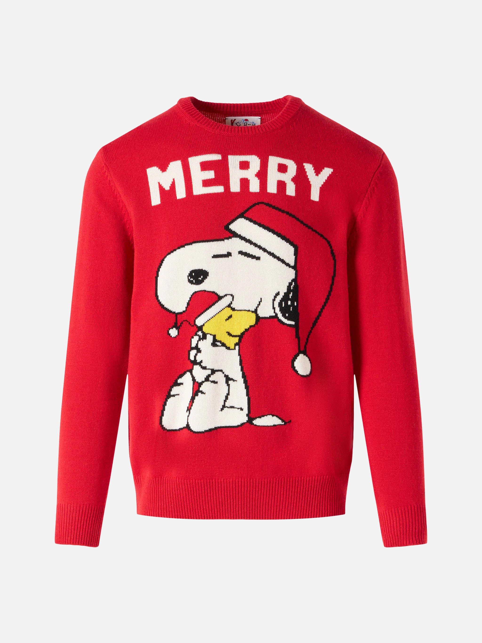 Heron Snoopy Merry sweater | Special Edition - Image 4