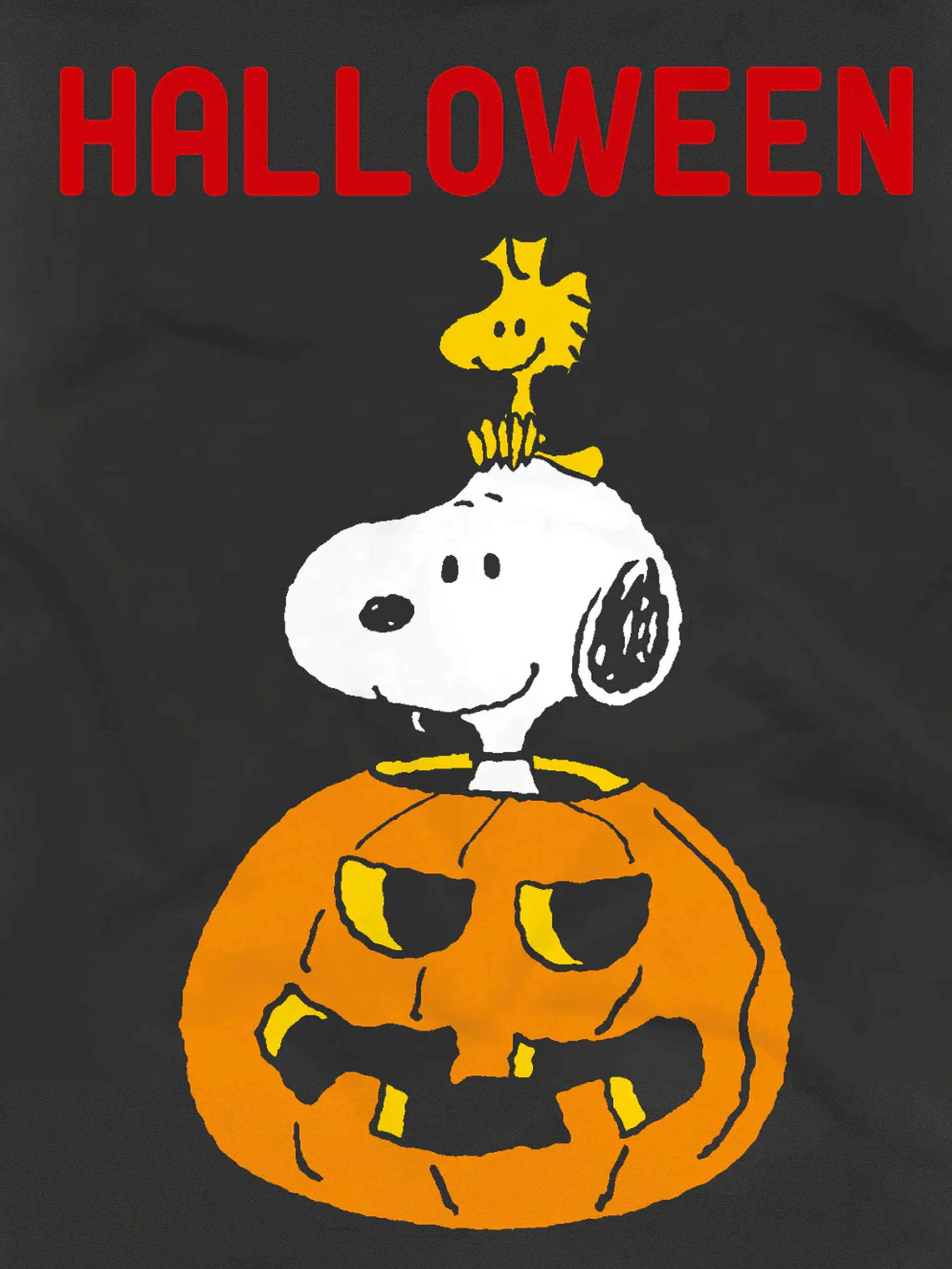 Arnott Snoopy Halloween t-shirt | Special Edition - Image 2