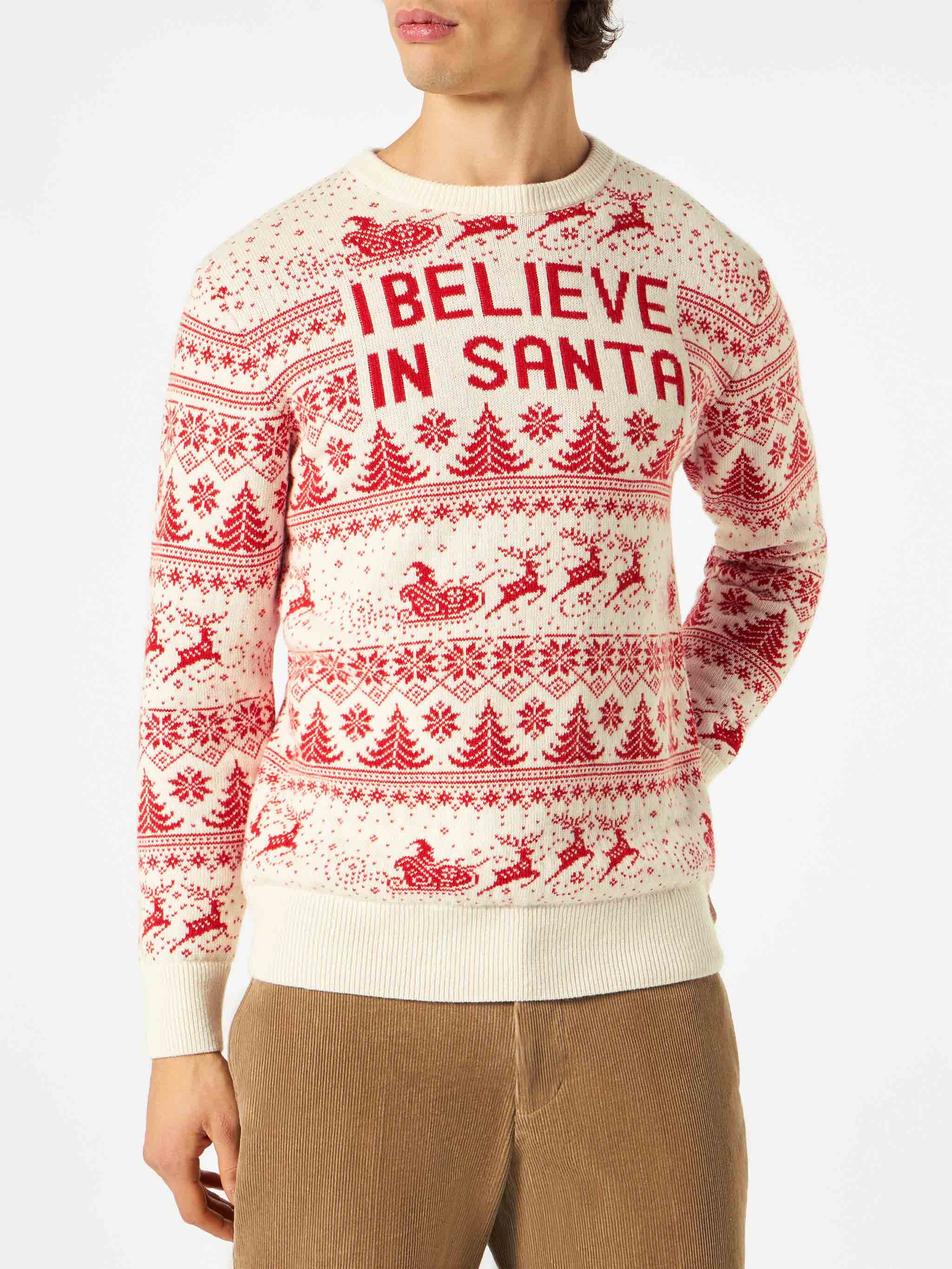 Heron I believe in Santa sweater