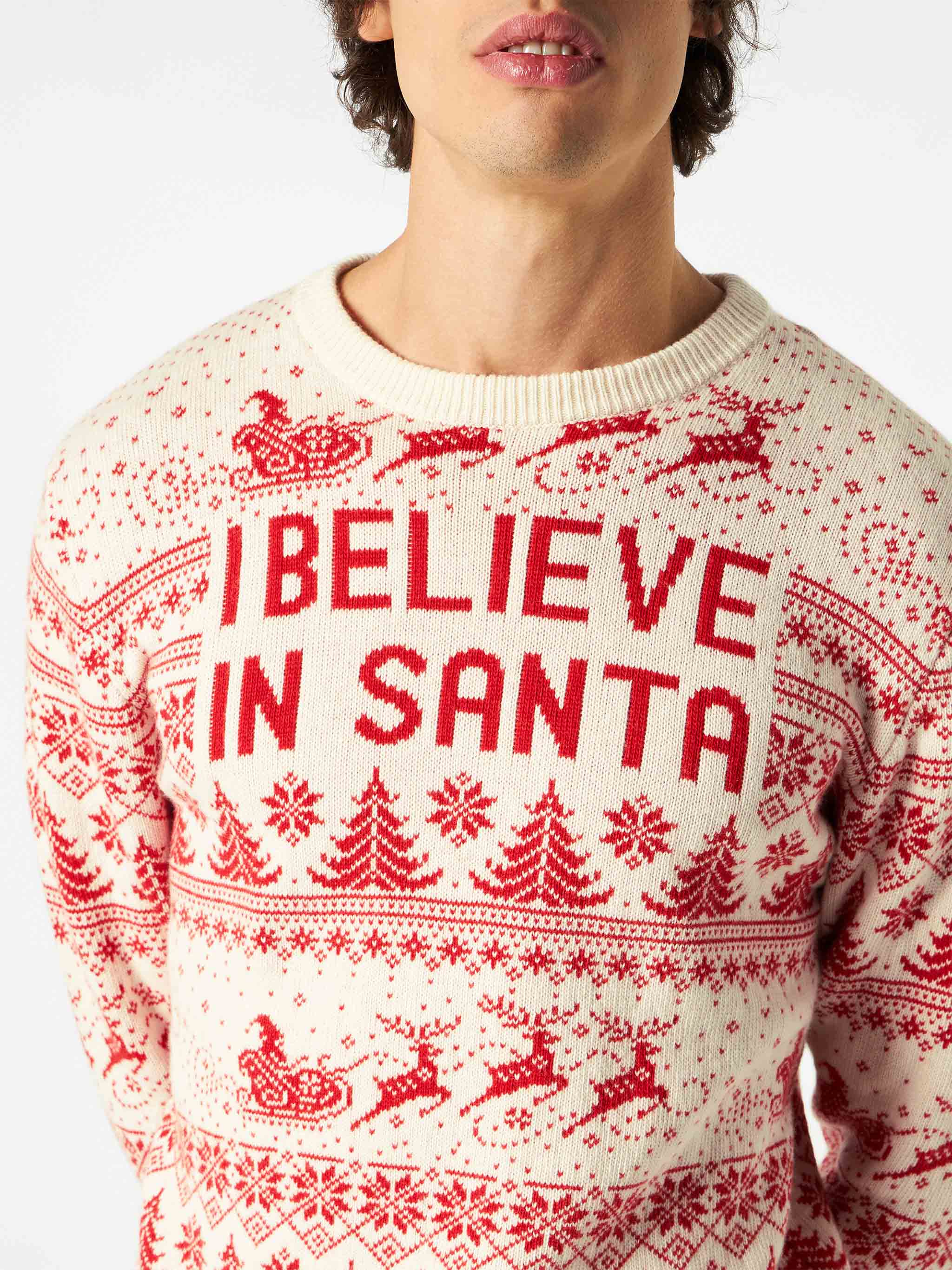 Heron I believe in Santa sweater - Image 2