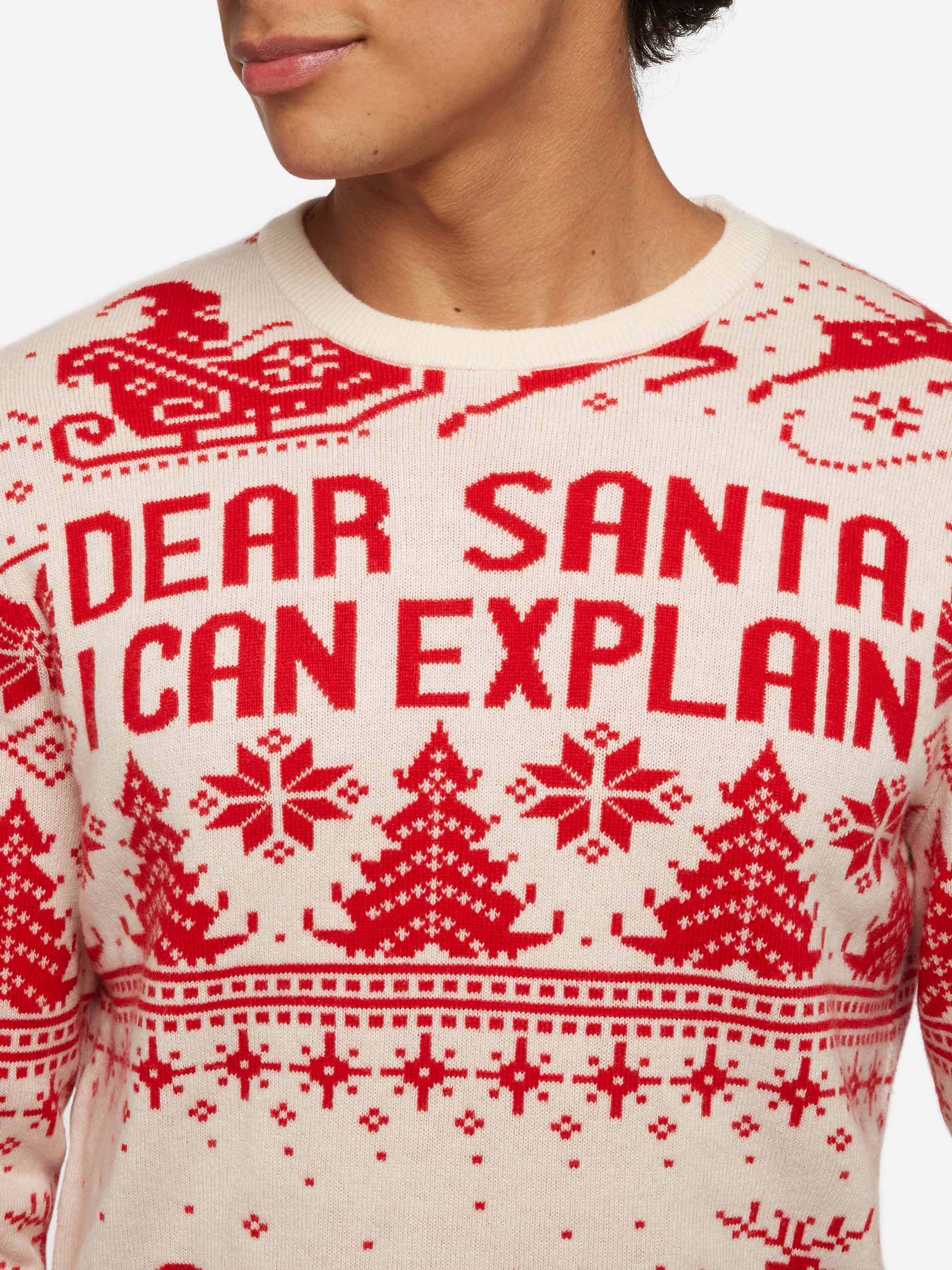 Red sweater Heron with fair isle and Dear Santa jacquard - Image 2