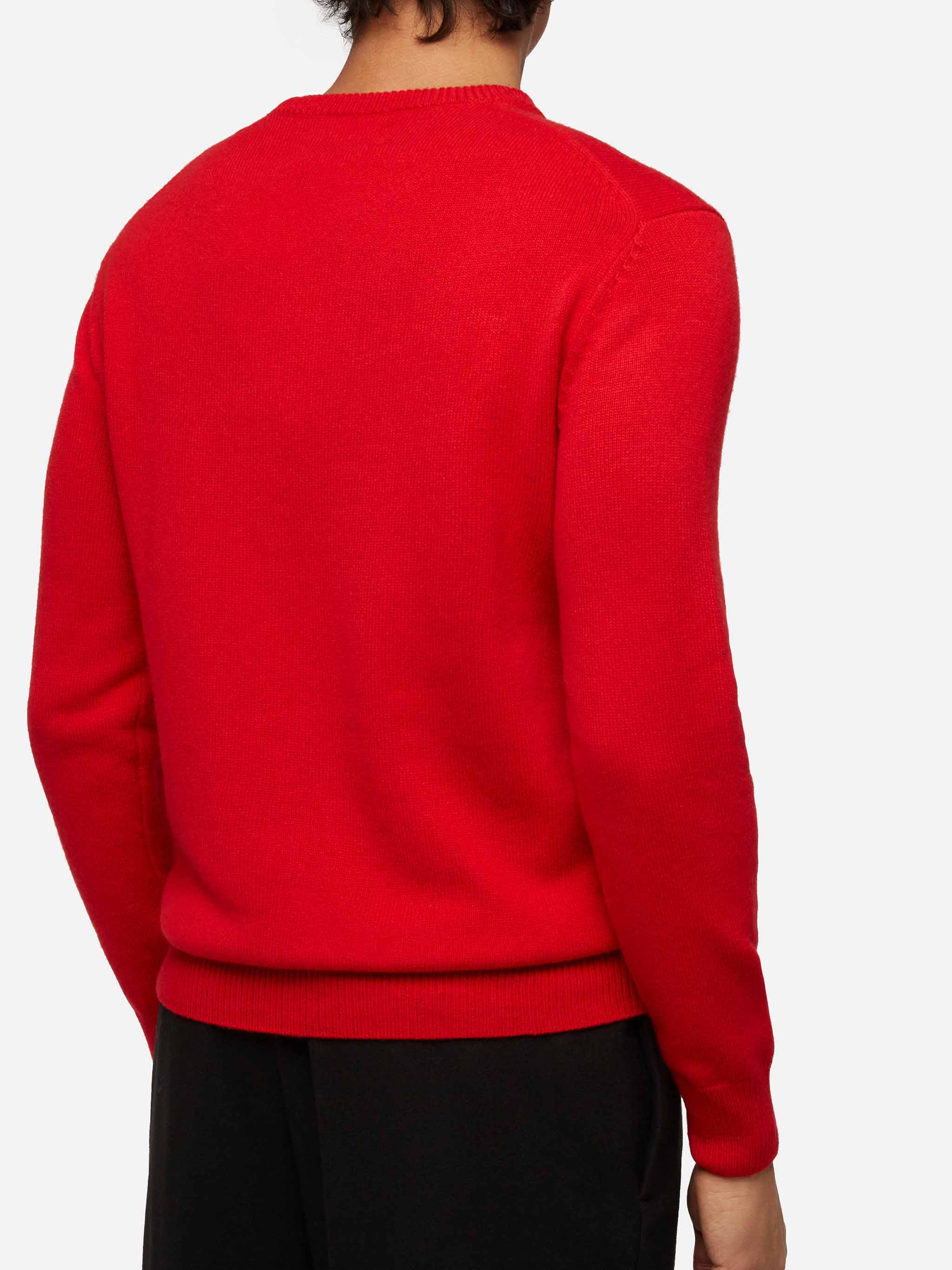 Red sweater Heron with Snoopy jacquard and embroidery | SNOOPY PEANUTS® SPECIAL EDITION - Image 3
