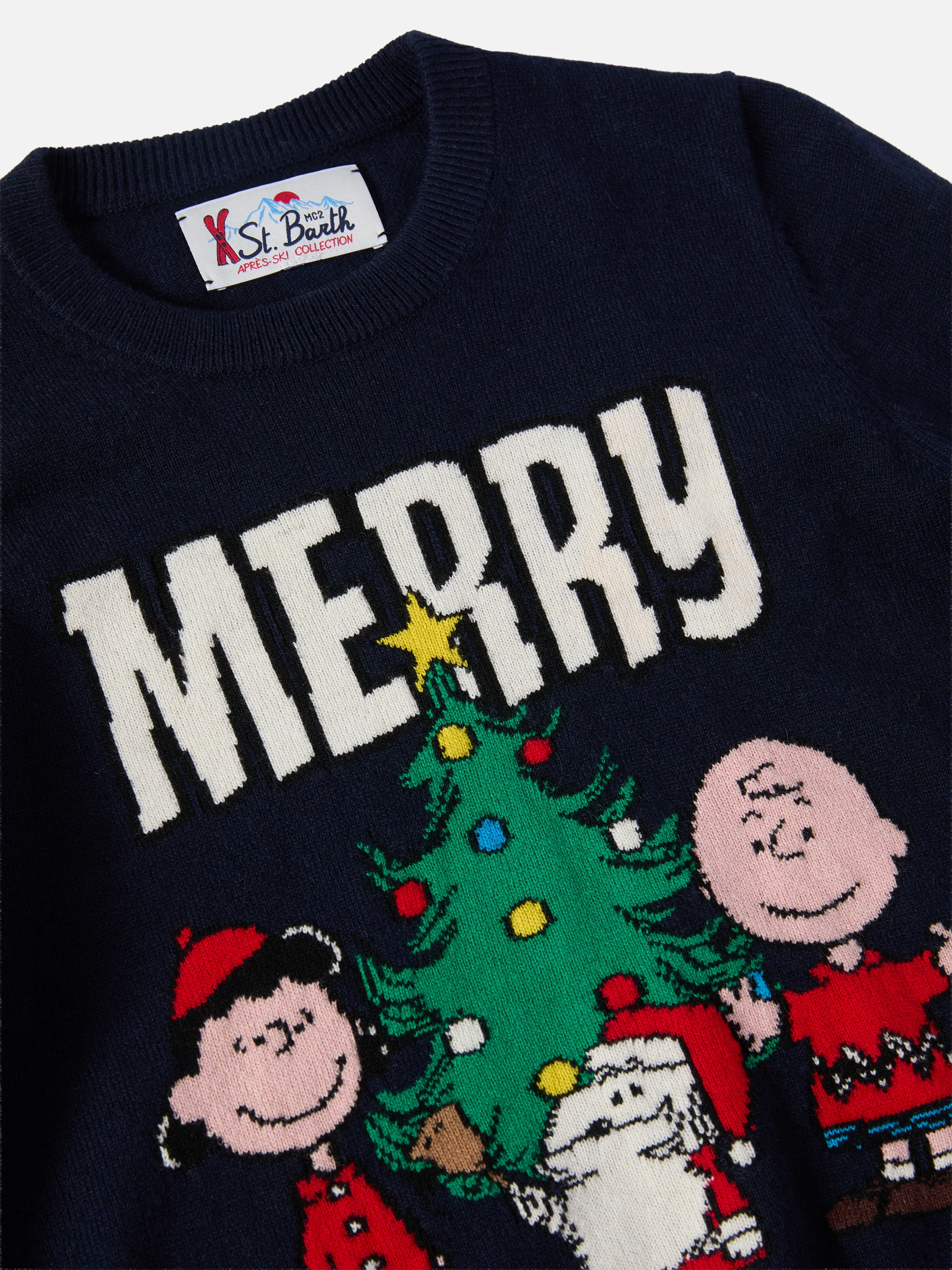 Crewneck Douglas in cashmere blend with Peanuts jacquard | PEANUTS SPECIAL EDITION - Image 2