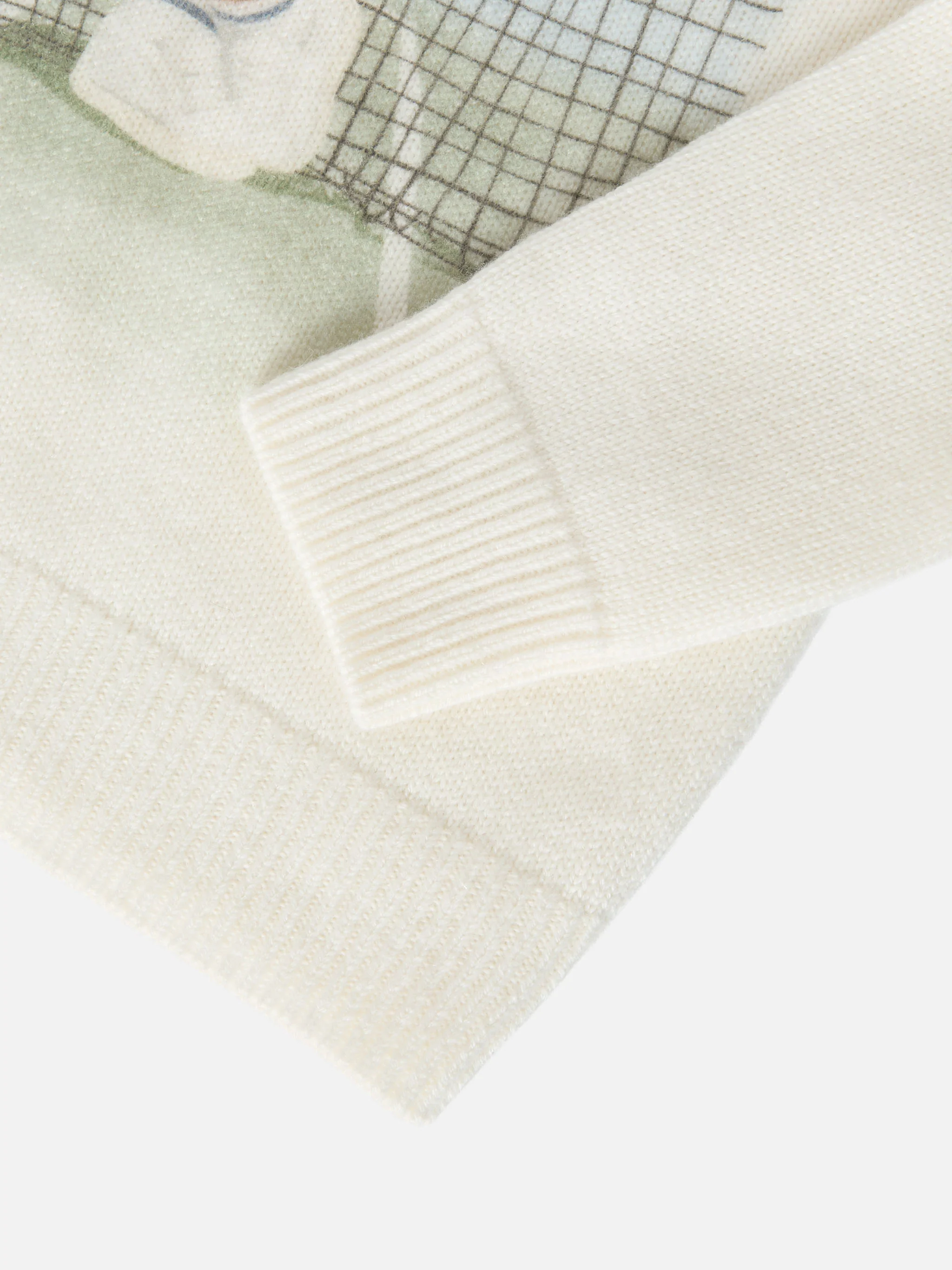 Sweater Douglas with teddy bear print and embroidery - Image 4