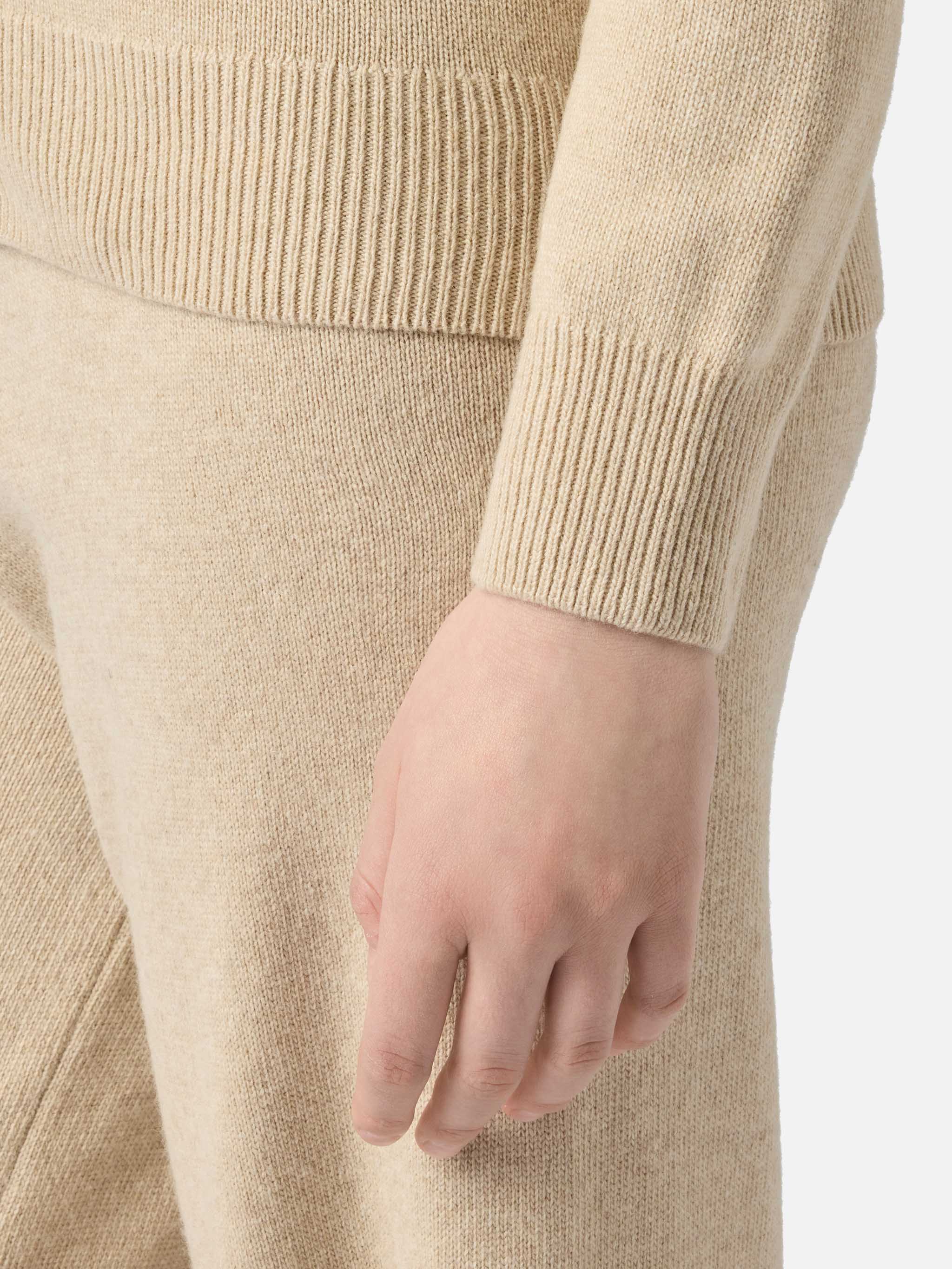 Beige Eze blended cashmere sweater with polo collar - Image 4